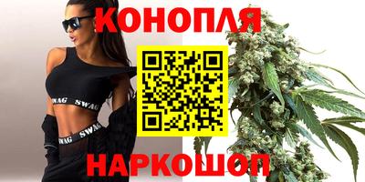 прущие грибы Будённовск