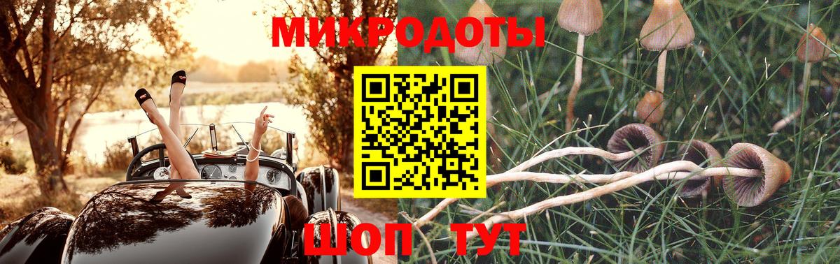 Псилоцибиновые грибы MAGIC MUSHROOMS Корсаков