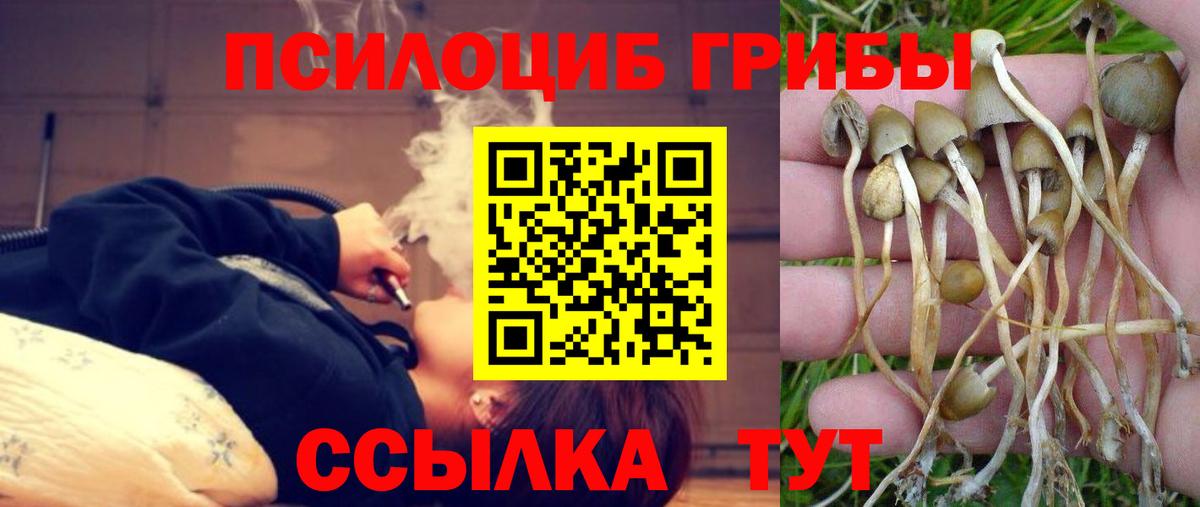 Псилоцибиновые грибы прущие грибы  Вход с VPN  Корсаков  Псилоцибиновые грибы прущие грибы 